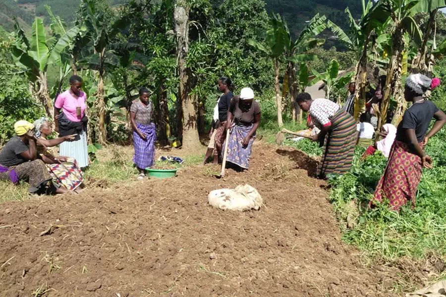 GWEFODE also offers training courses in ecological horticulture